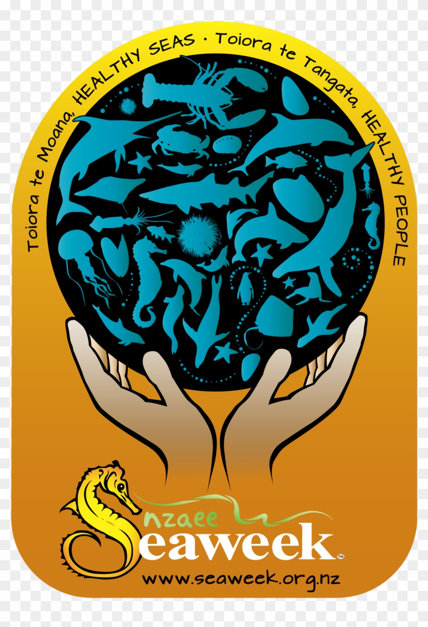 Science Learning Hub - Seaweek 2017 Clipart