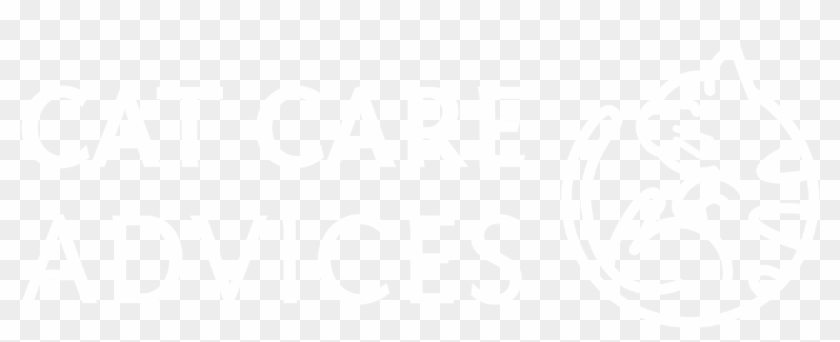 Catcareadvices - My Chemical Romance Dead Quotes Clipart