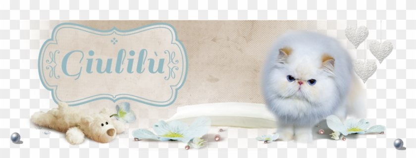 Giulilù Cattery - Persian Clipart #4742313