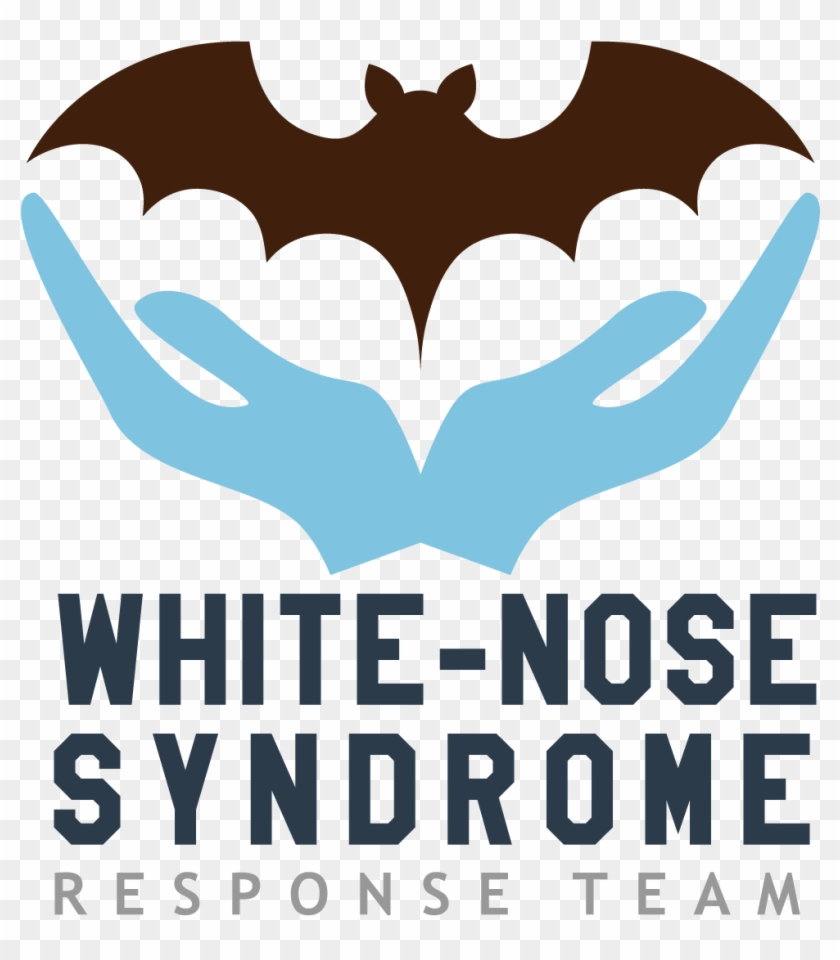 See Https - //www - Whitenosesyndrome - Org/static-page/our - Poster Clipart