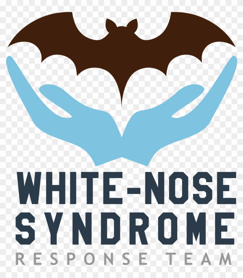 See Https - //www - Whitenosesyndrome - Org/static-page/our - Poster Clipart #4742684