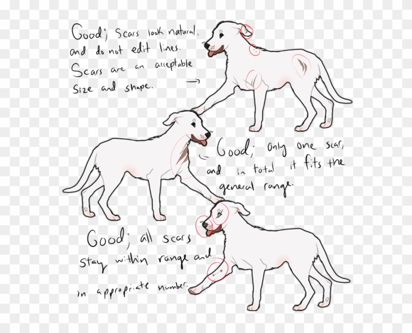 A Small Scar Pack May Be Used To Create Blindness In - Cartoon Clipart