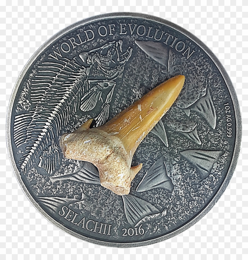 1,000 Frcs Cfa Burkina Faso - Coin Clipart