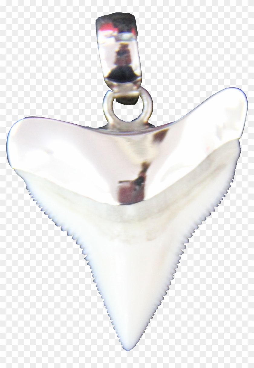 Shark Tooth - Pendant Clipart #4744465