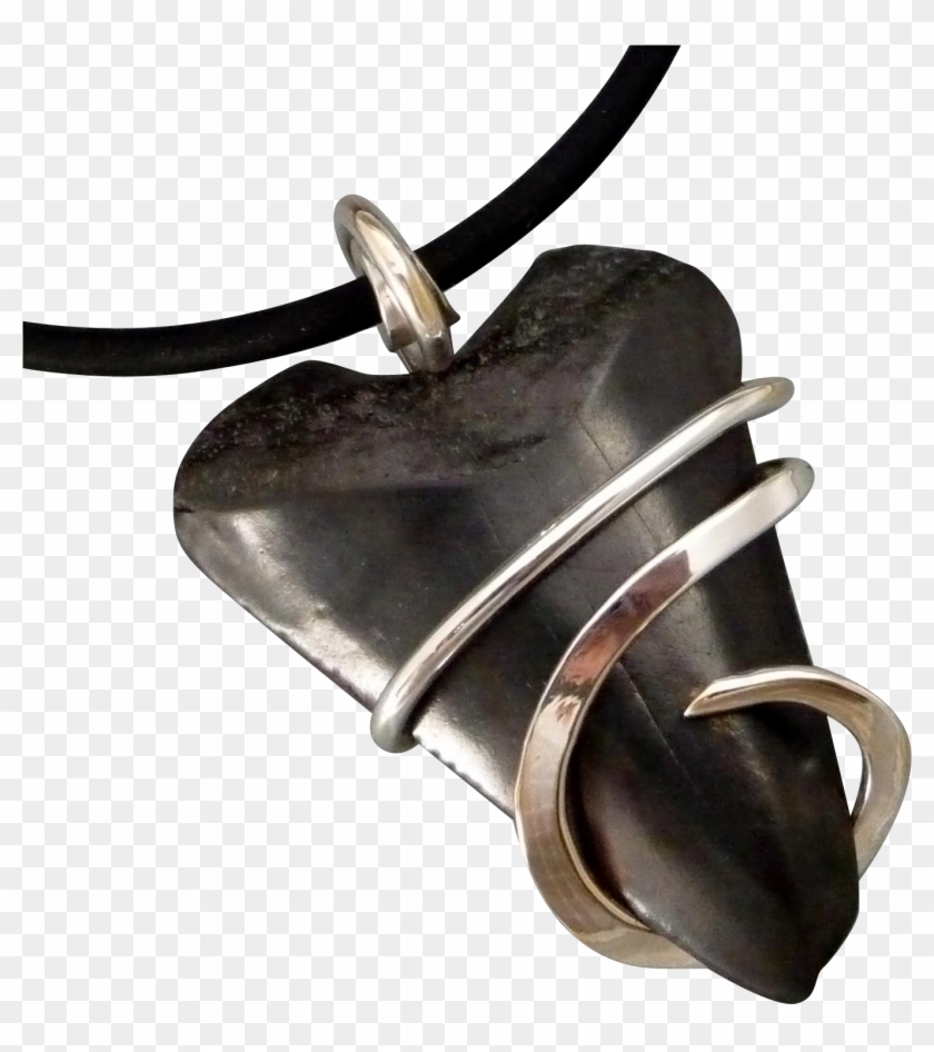 Fossilized Great White Shark Tooth Wrapped Pendant - Pendant Clipart