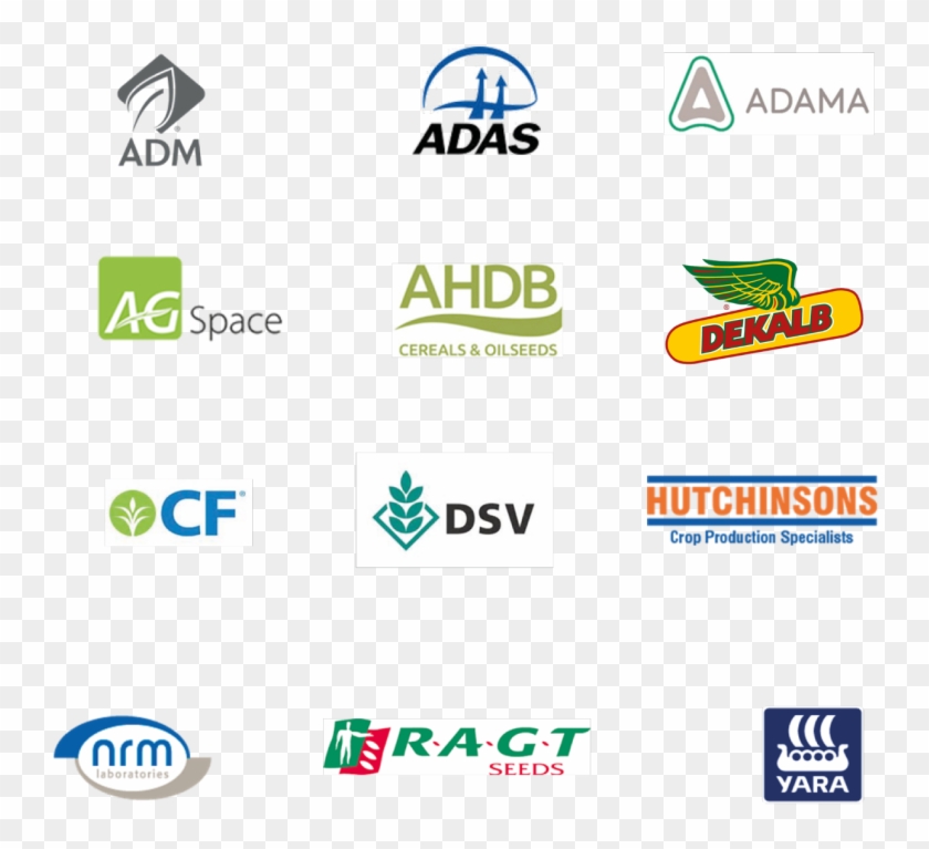 Yen 1png - Yara Clipart #4745261