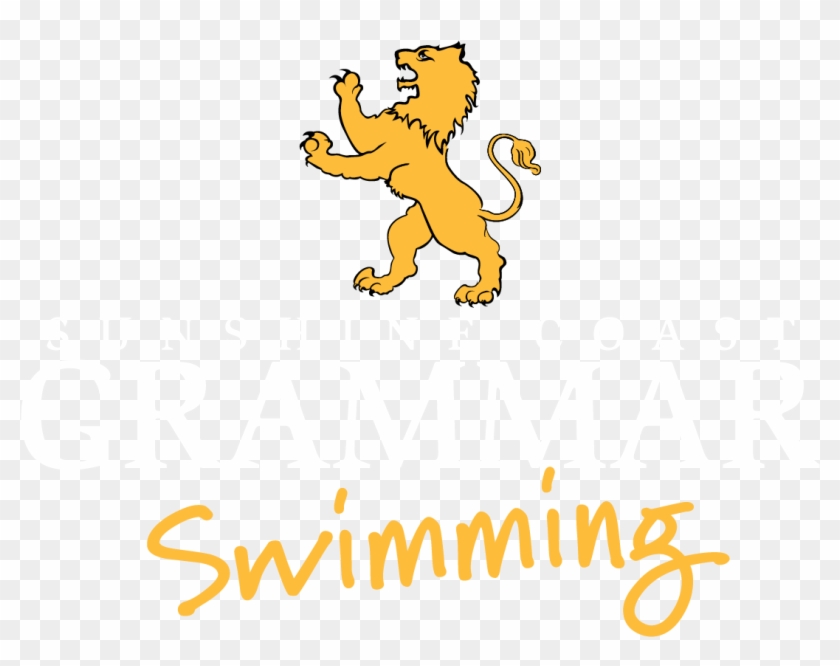 Sunshine Coast Grammar Swimming Club Offers A Seamless - Hanover College Clipart #4745360