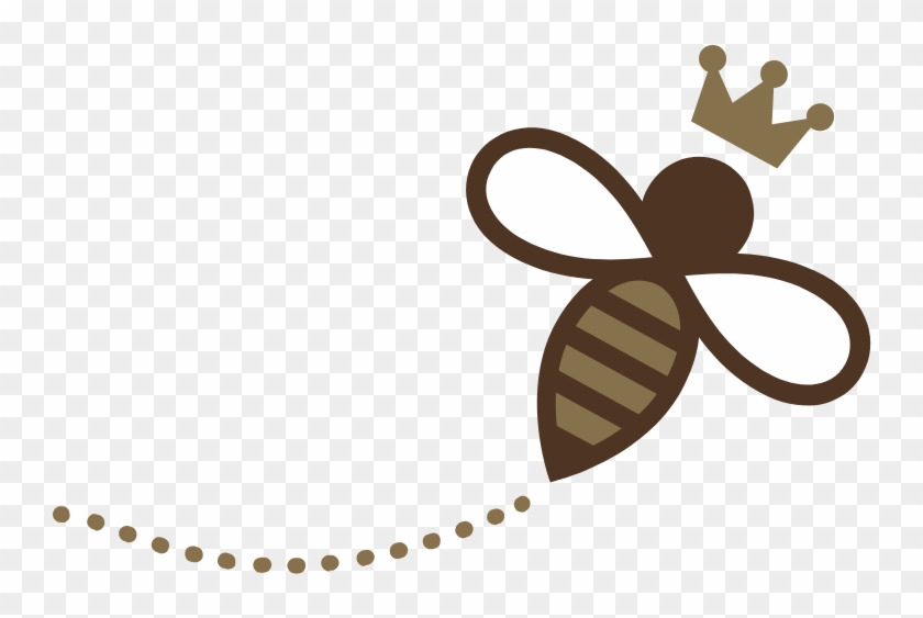 Droga Chocolates Droga Chocolates - Illustration Clipart