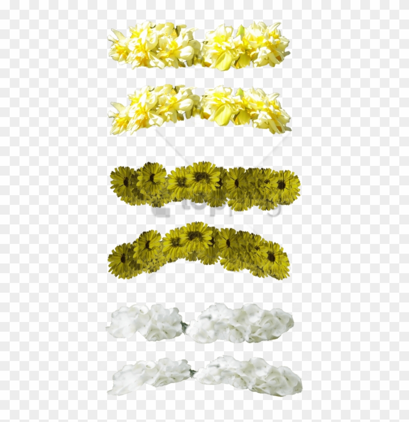 Free Png Yellow Flower Crown Transparent Png Image - Green And Yellow Flower Crown Clipart #4746270