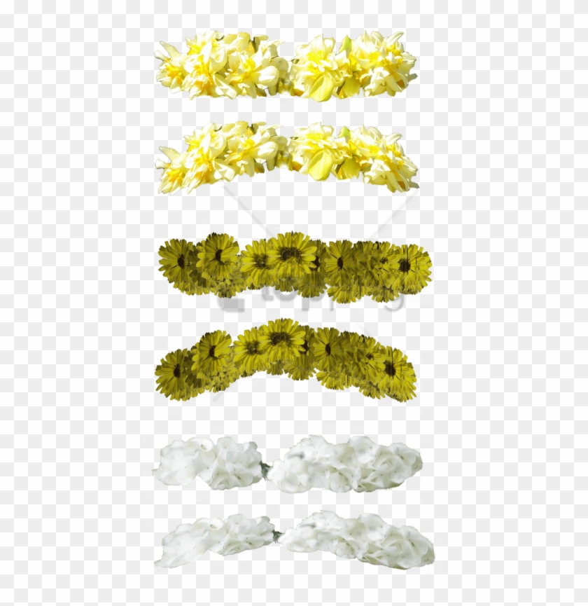 Free Png Yellow Flower Crown Transparent Png Image - Green And Yellow Flower Crown Clipart