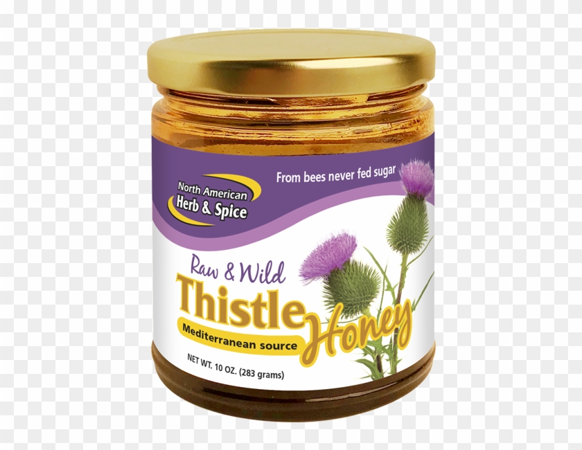 Wild Thistle Honey - Purple Coneflower Clipart #4747084