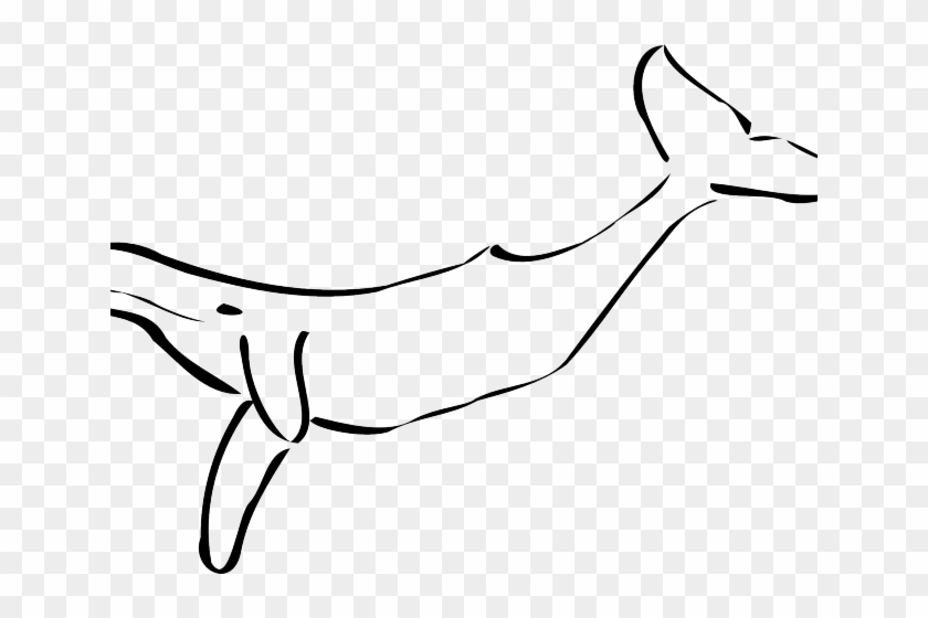 Humpback Whale Clipart Mermaid Tail - Transparent Black And White Whale - Png Download #4748528