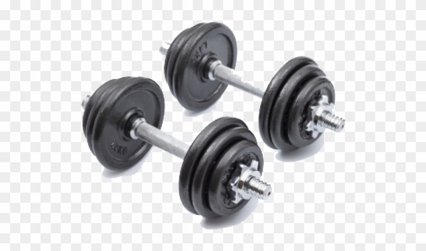 Dumbbell Clipart #4749969