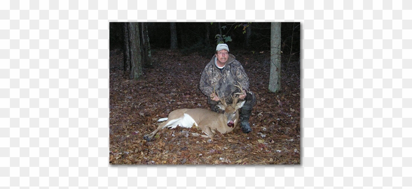 Whitetail Deer Hunting - Deer Hunting Clipart #4750846