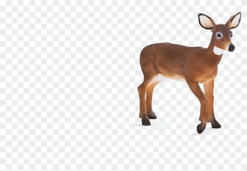 Deer Clipart #4751145