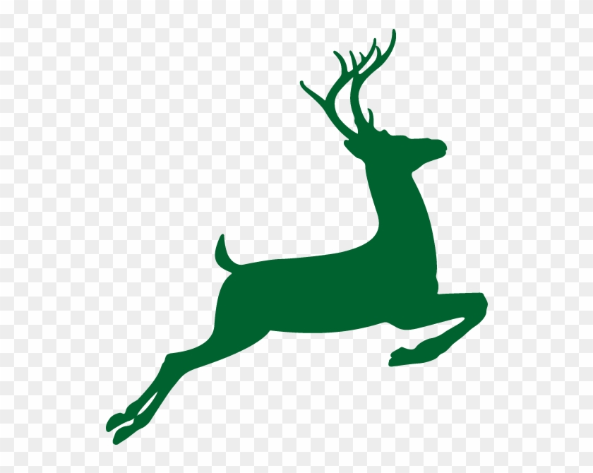 White-tailed Deer Drawing Clip Art - Png Download #4751171