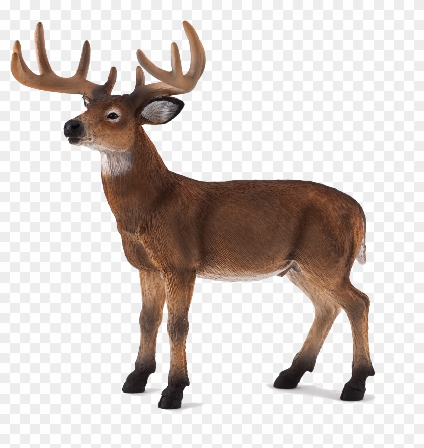 Mojo Fun White Tailed Deer Clipart