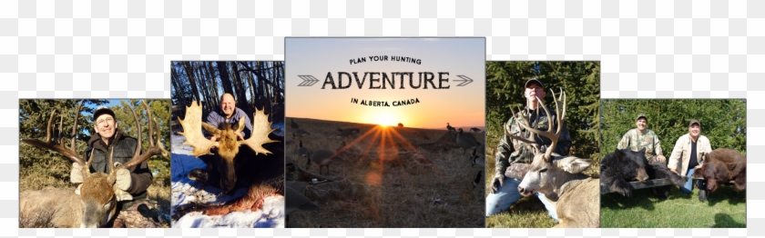 At North Star Outfitting We Personally Guide Whitetail - Infantry Clipart