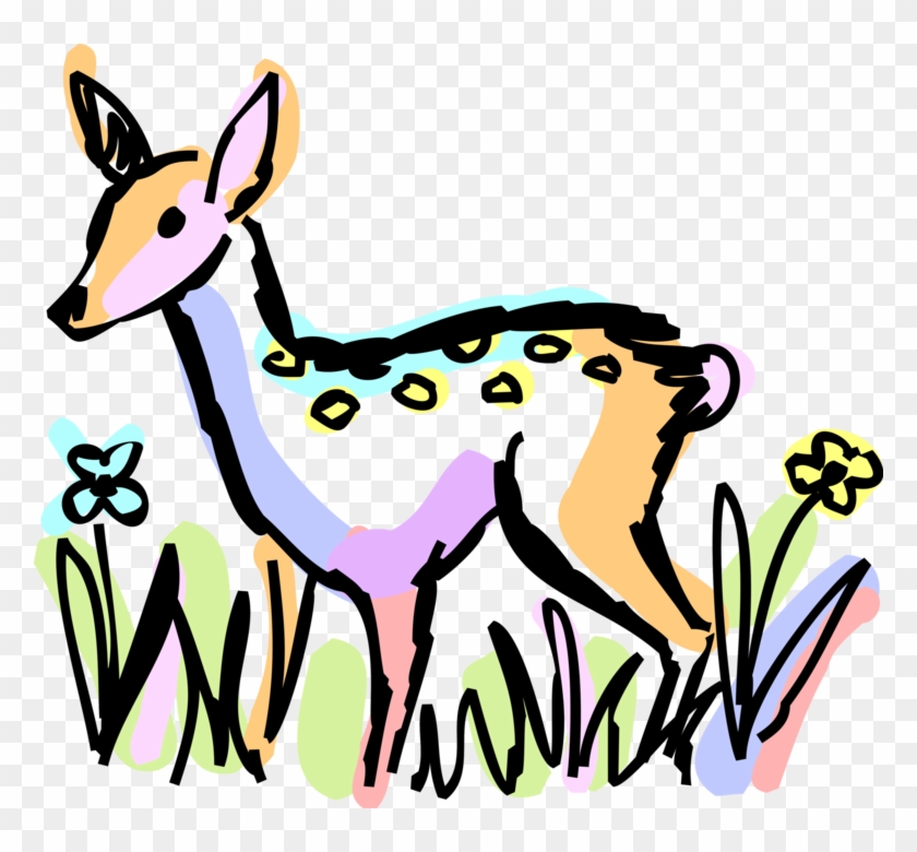 Vector Illustration Of White-tailed Or Whitetail Deer Clipart