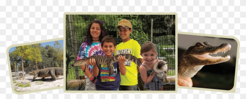 Fun Clipart #4751805