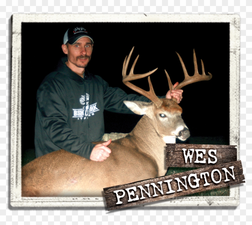 “i Work Relentlessly To Be Successful In The Woods - Elk Clipart