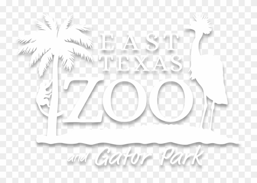 East Texas Zoo & Gator Park - Illustration Clipart #4751864