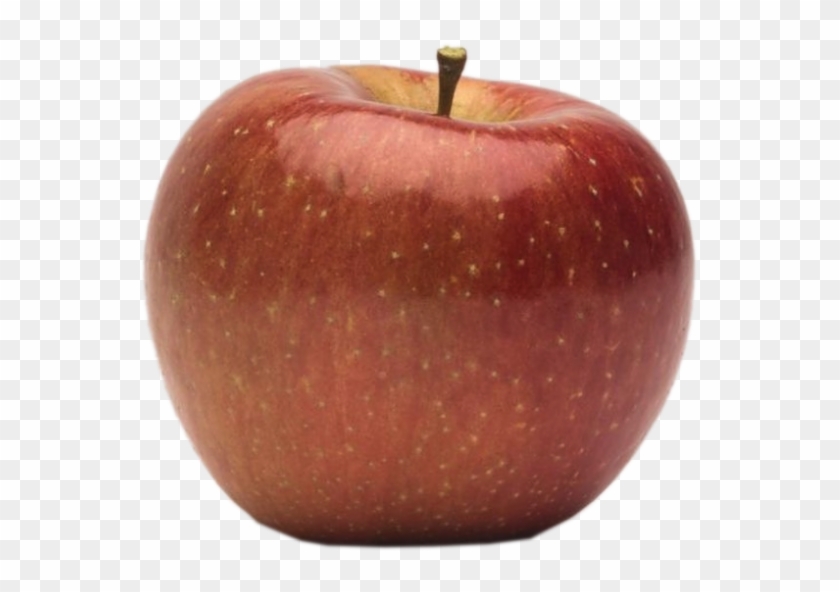 Apple Holler Evercrisp Apple - Mcintosh Clipart #4752587