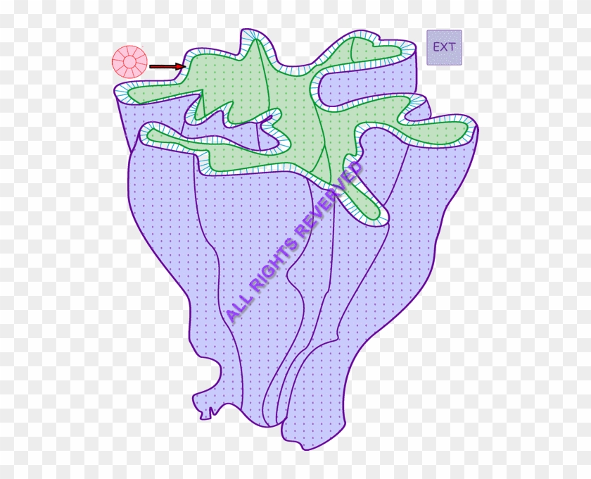 Images/folds Irregular Longi - Map Clipart #4752643