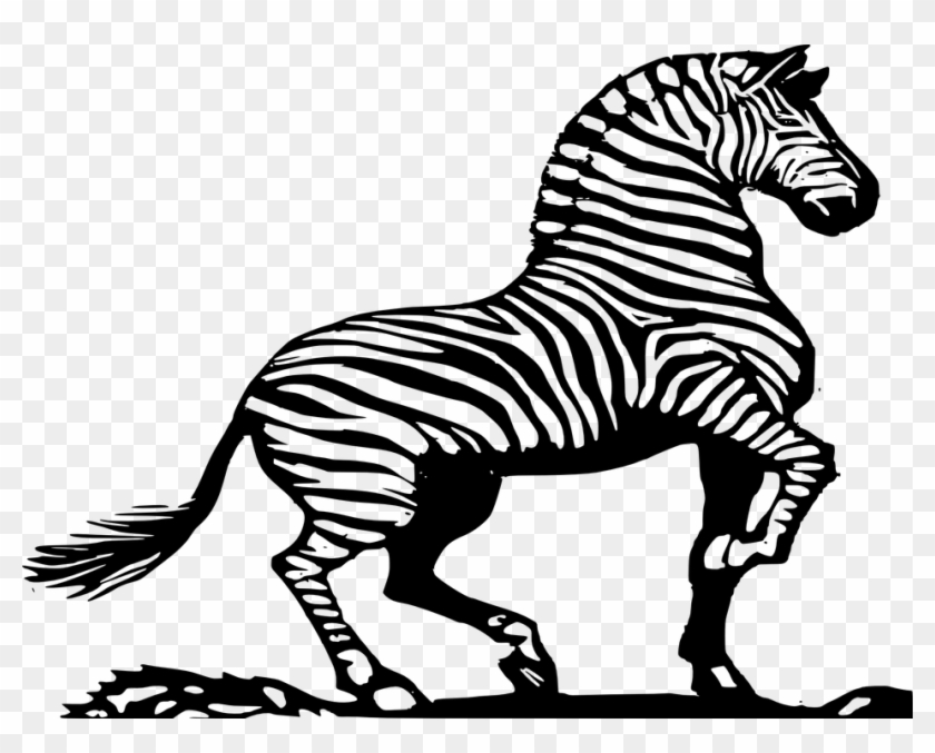 Zebra Animal Mammal - Zebra Clipart Black And White - Png Download