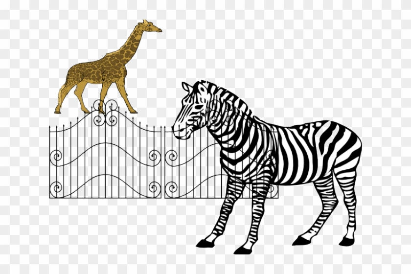 Zebra Picture For Colouring Clipart #4753930