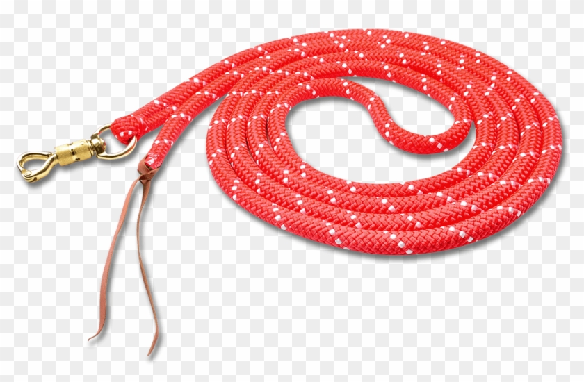 Horsemanship Vodítko Clipart