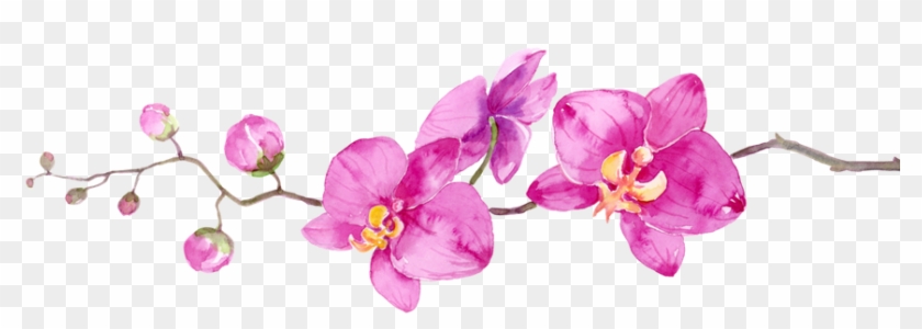 Roots Flower Branch Right Hand Side - One Side Flower Design Png Clipart