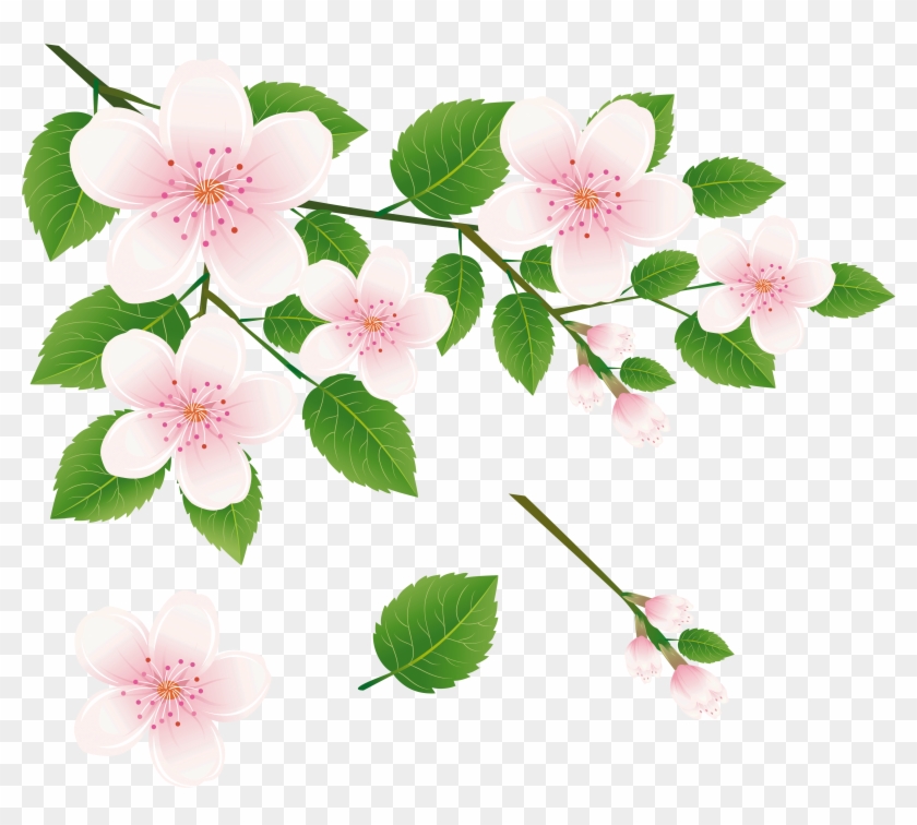 Spring Tree Branch With Flowers Png Clipart Picture - Full Hd Flower Png Transparent Png