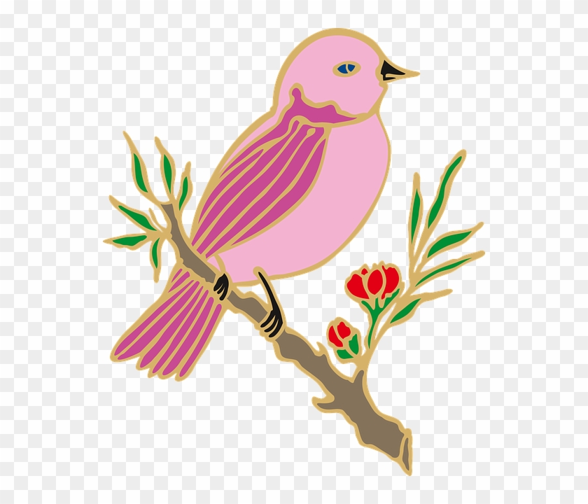 Transparent Background Bird Clipart Png #4755748