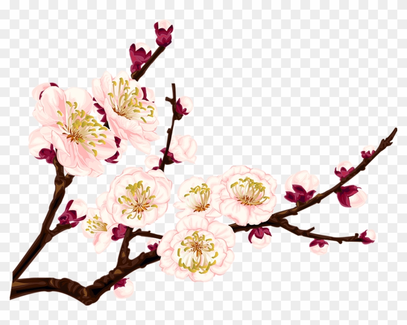 #tumblr #flower #flowers #branch #branchs - Apricot Blossom Png Clipart #4756425