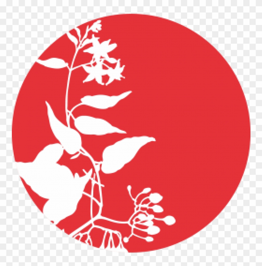 Convallaria Majalis Liquid Extract - Circle Clipart