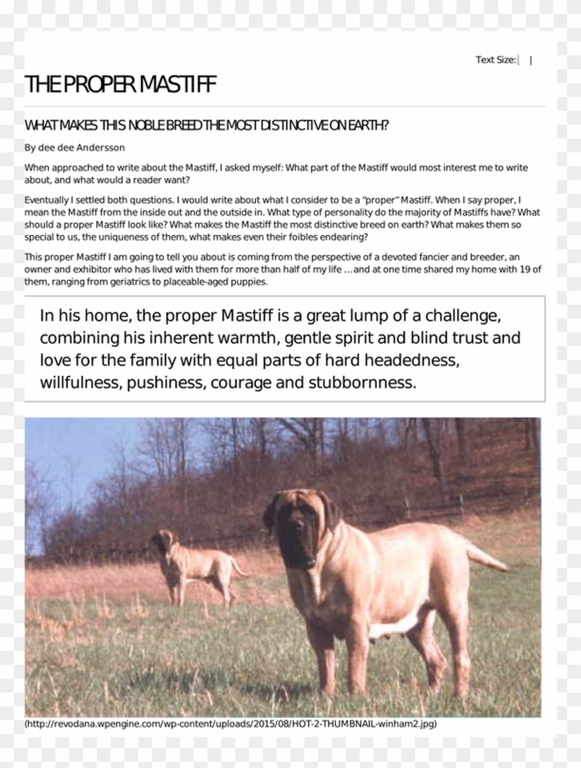 Dragonhall Mastiffs - Ancient Dog Breeds Clipart