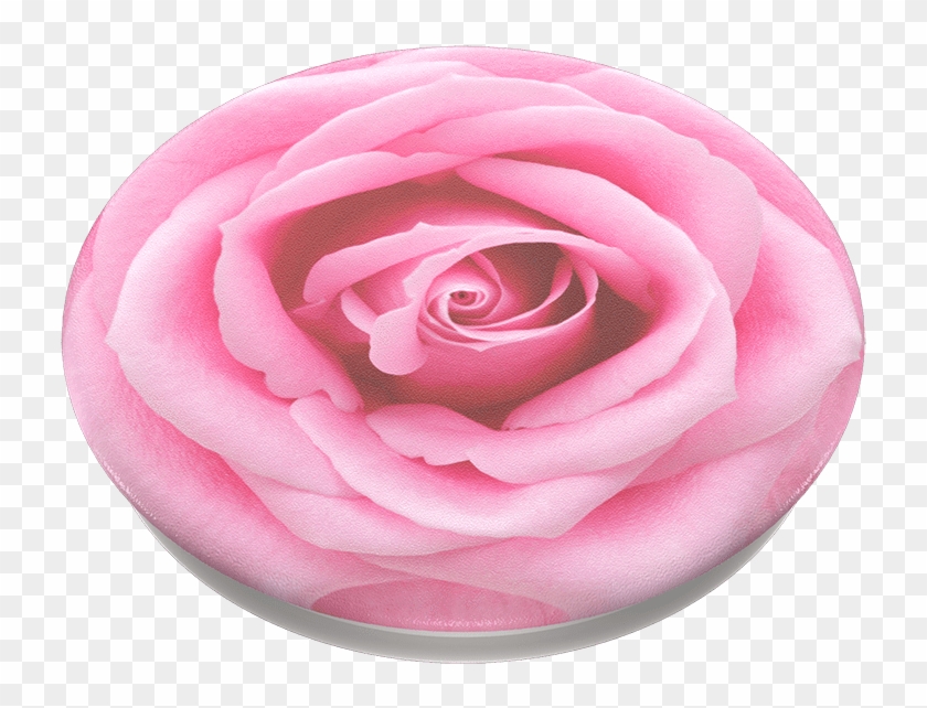 Rose All Day, Popsockets - Popsockets Clipart #4759142