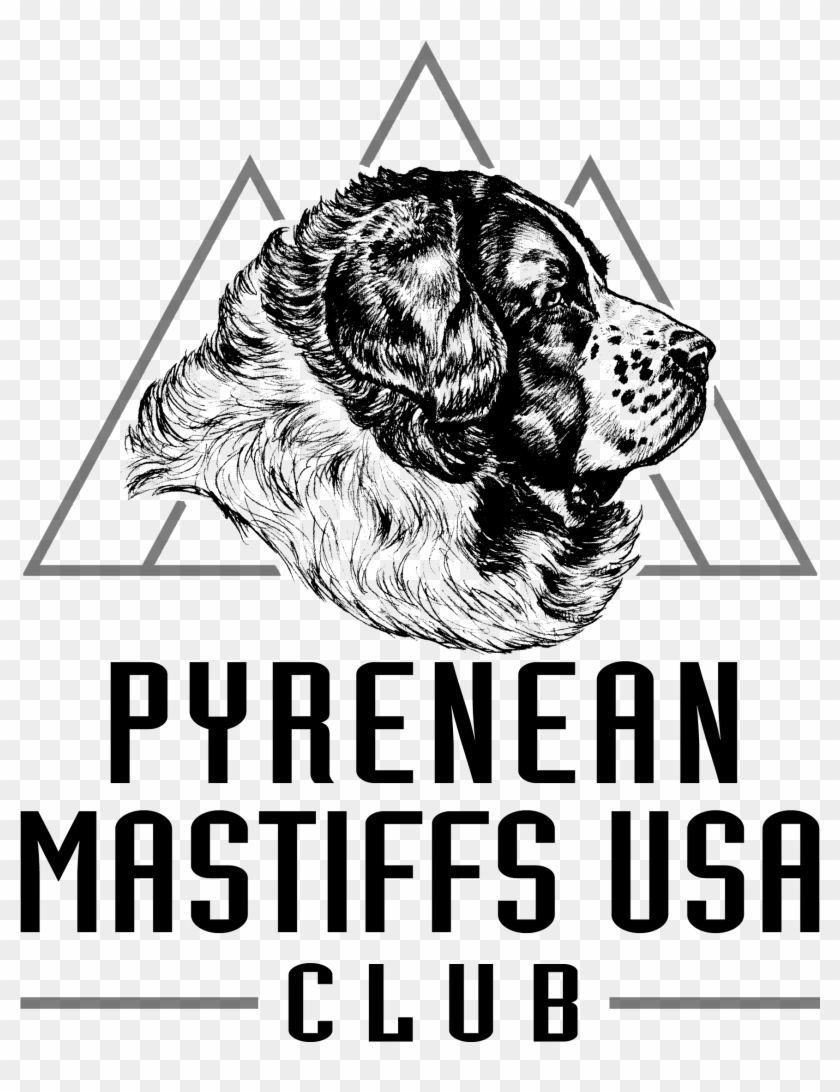 Pyrenean Mastiffs Usa Club Is Dedicated To The Breed - Graphic Design Clipart #4759225