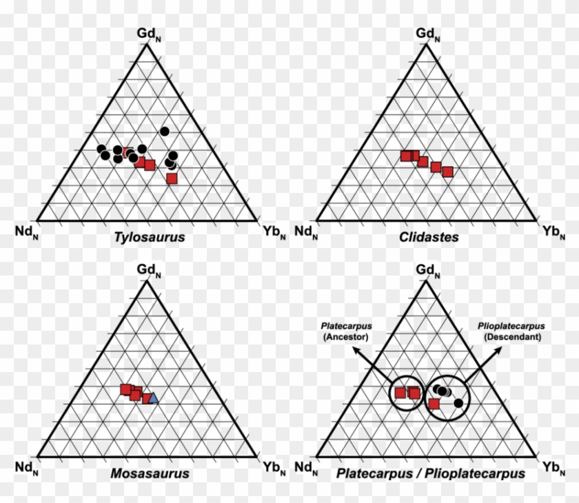 Ternary Diagrams Of Normalised Ree Ratios For Tylosaurus, - Triangle Clipart