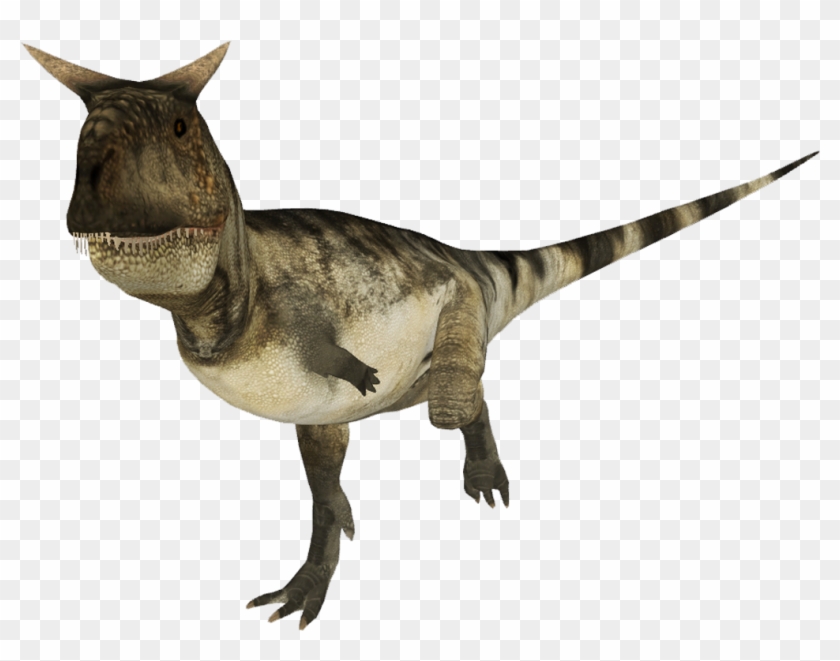 Https - //sites - Google - - Velociraptor Clipart #4759839