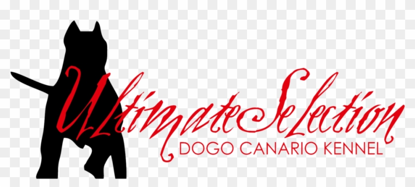 Do You Have Any Questions About This Dog - San Antonio Football Team Clipart