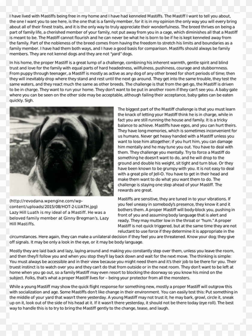 Picture - Boxer Clipart #4759889