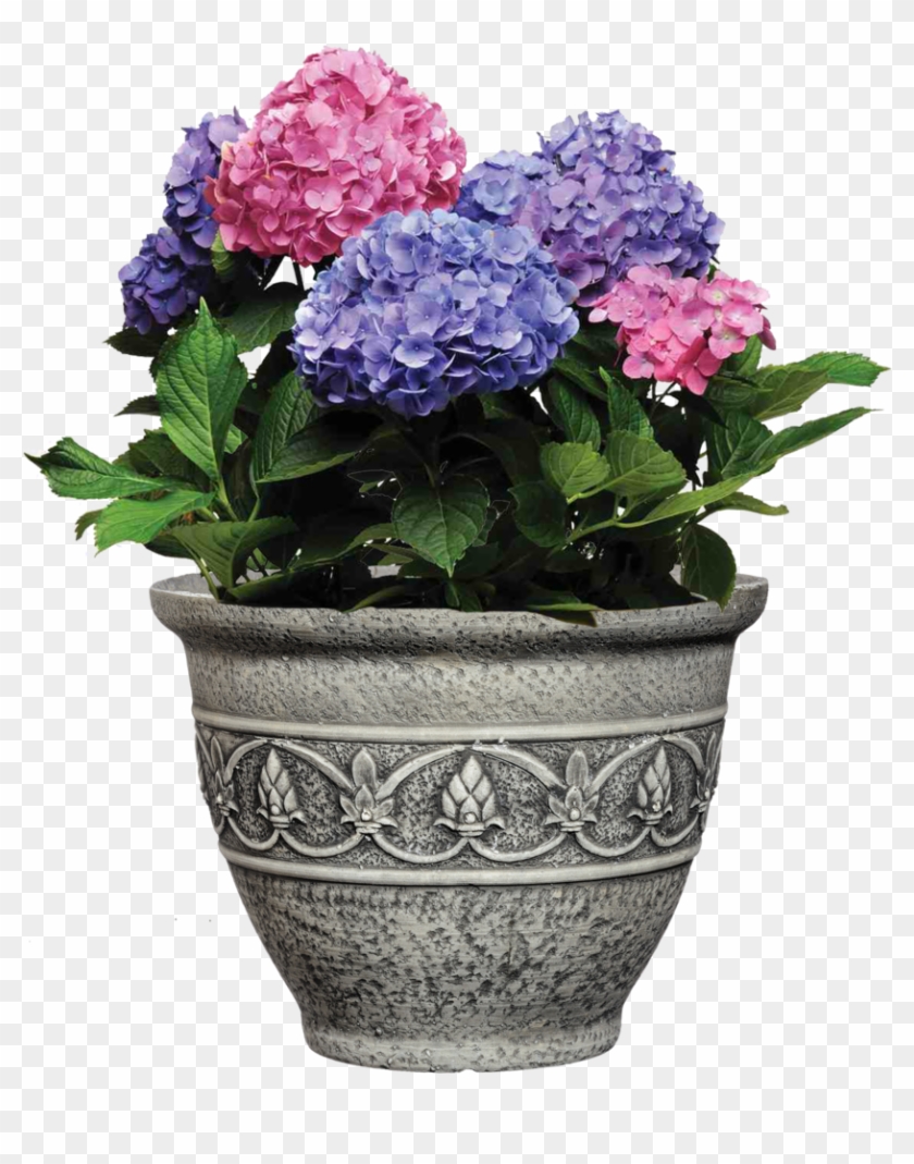 What Varieties Need To Cover - Flowerpot Clipart #4760444
