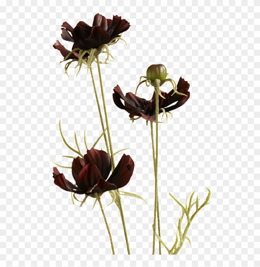 Lily Family Clipart #4760714