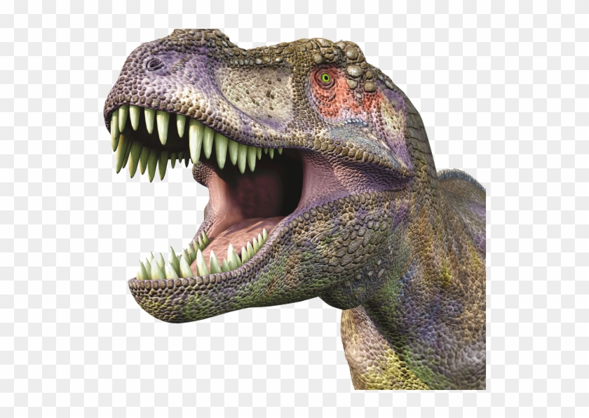 Tyrannosaurus Huge Head - Transparent Dinosaur Head Clipart