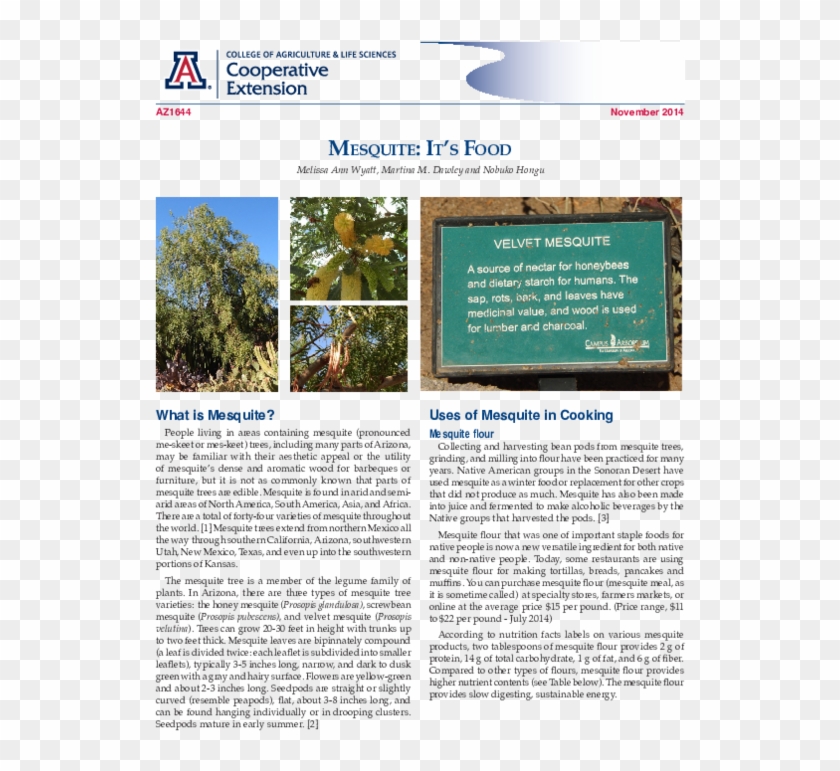 Pdf - Banner Good Samaritan Medical Center Clipart