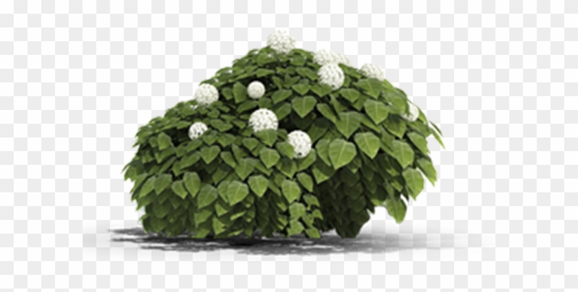 View In My Picture - Chrysanths Clipart