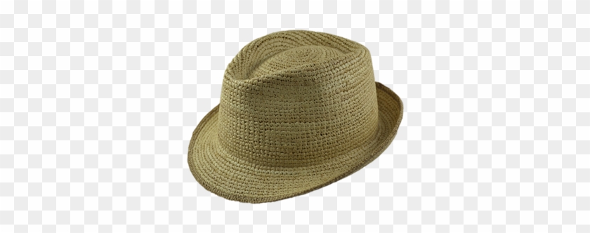 Fedora Clipart #4763004