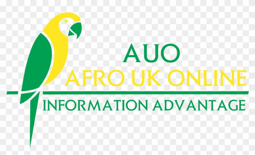 O'bar Inter Night Club - Parakeet Clipart